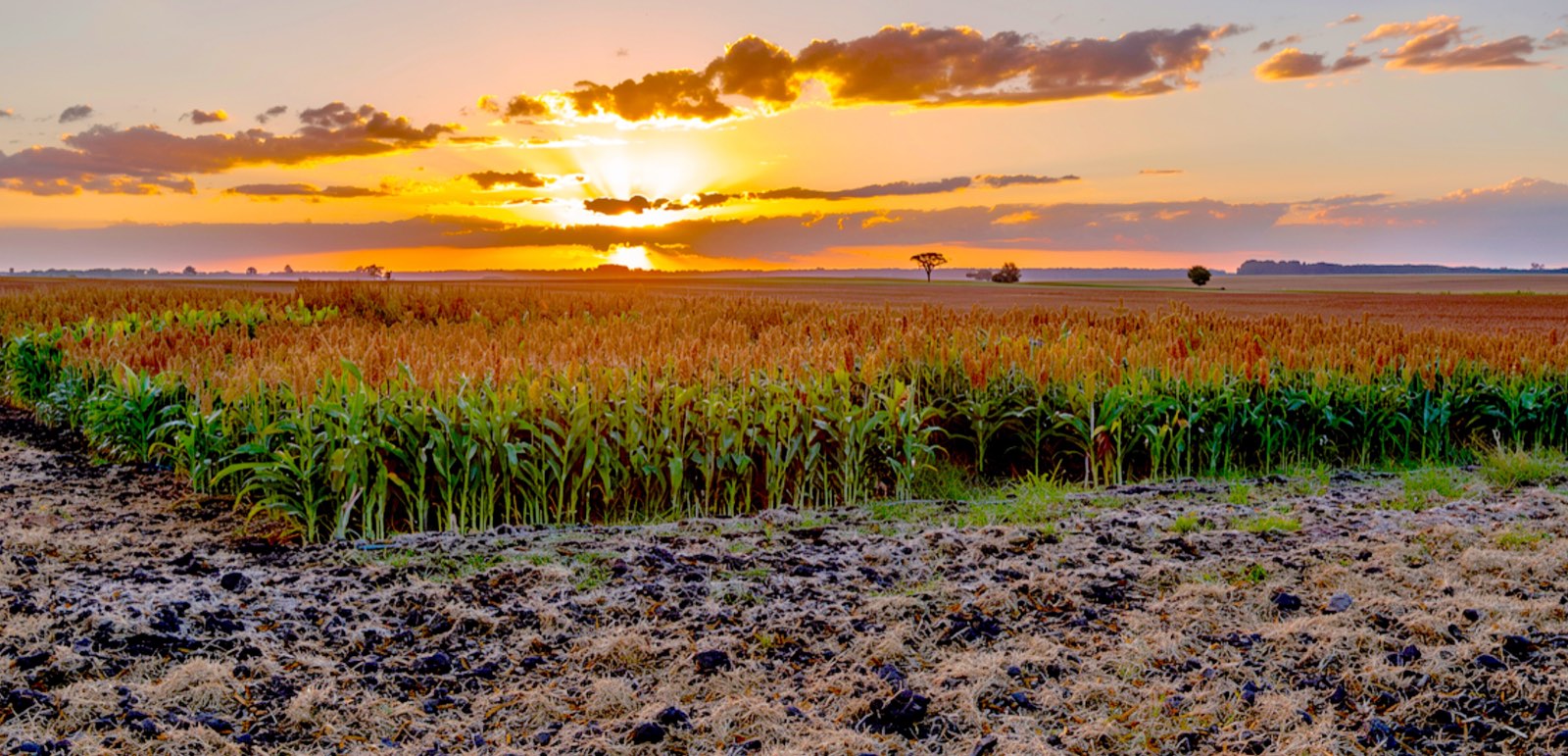 Proyecto La Paz Centro